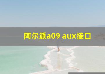 阿尔派a09 aux接口